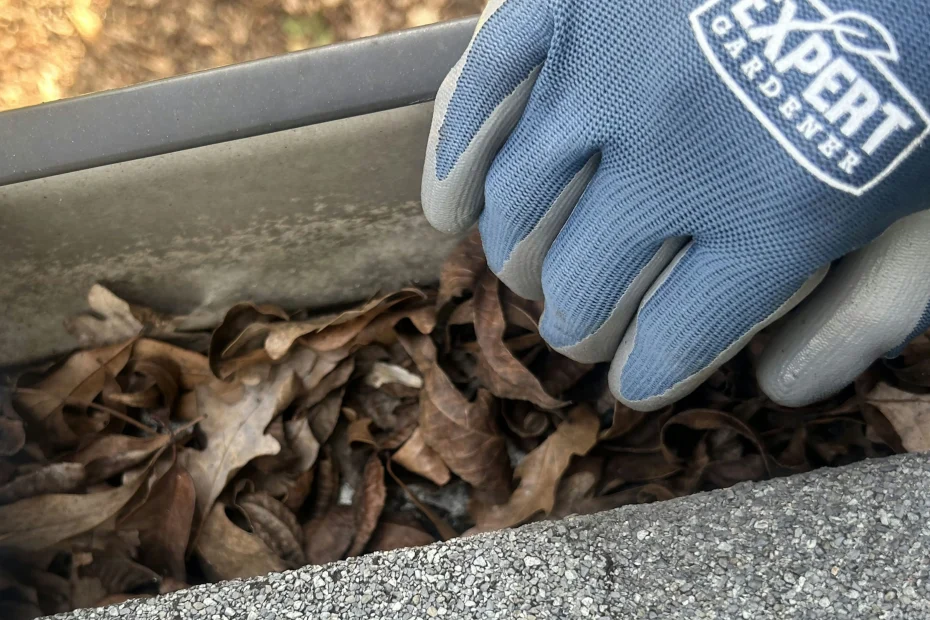 Gutter Cleaning Reston