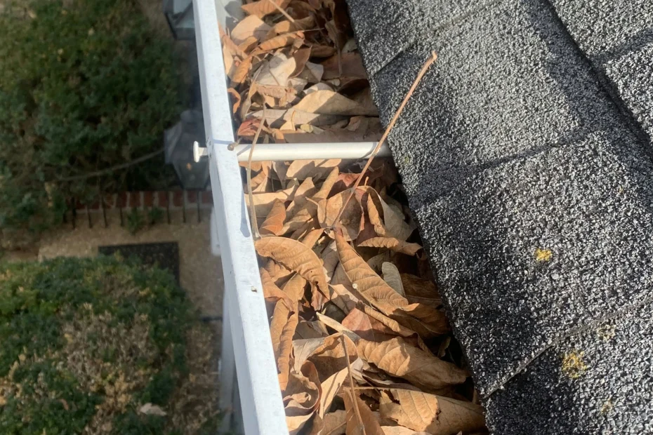 Gutter Cleaning Reston