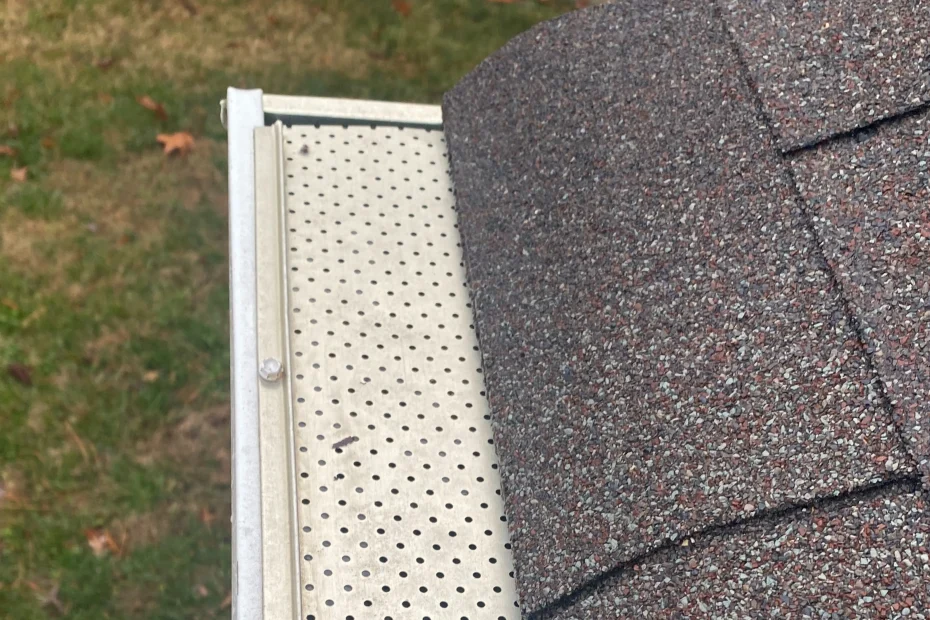 Gutter Cleaning Reston