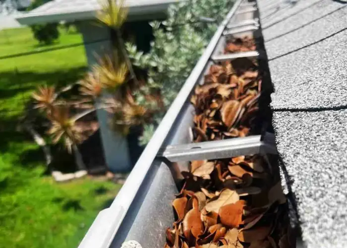 Gutter Cleaning Reston home page