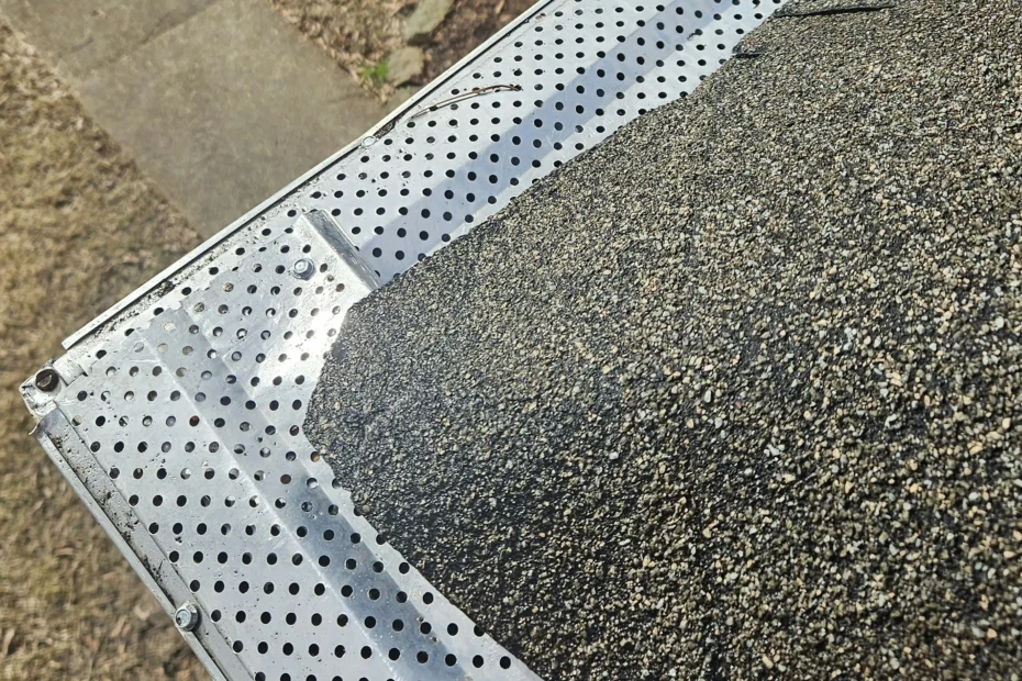 Reston Gutter Cleaning
